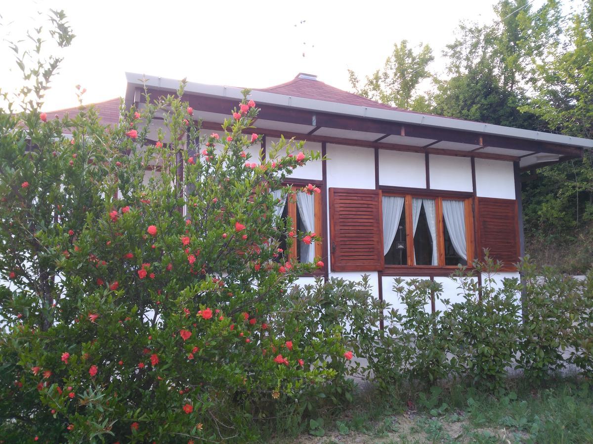 B&B The Lodge Potenza Exterior foto